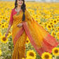 Rich Jacquard Weaving Saree with Luxurious Finish Yellow Body with red palav with swarovski work for Women